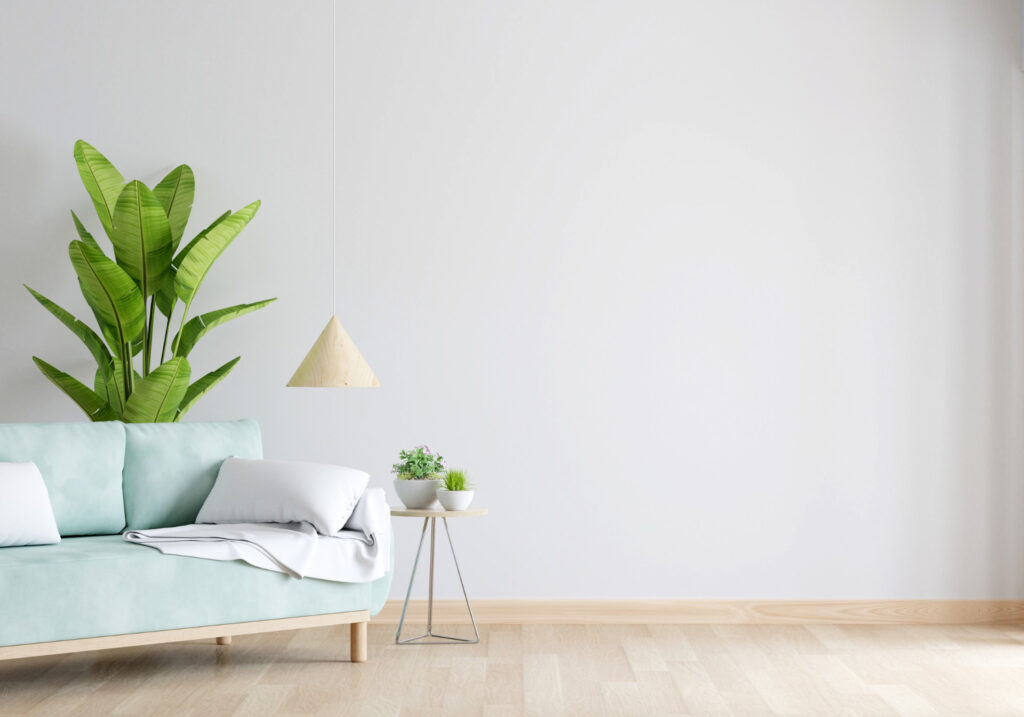 empty room with blue couch and green plant
